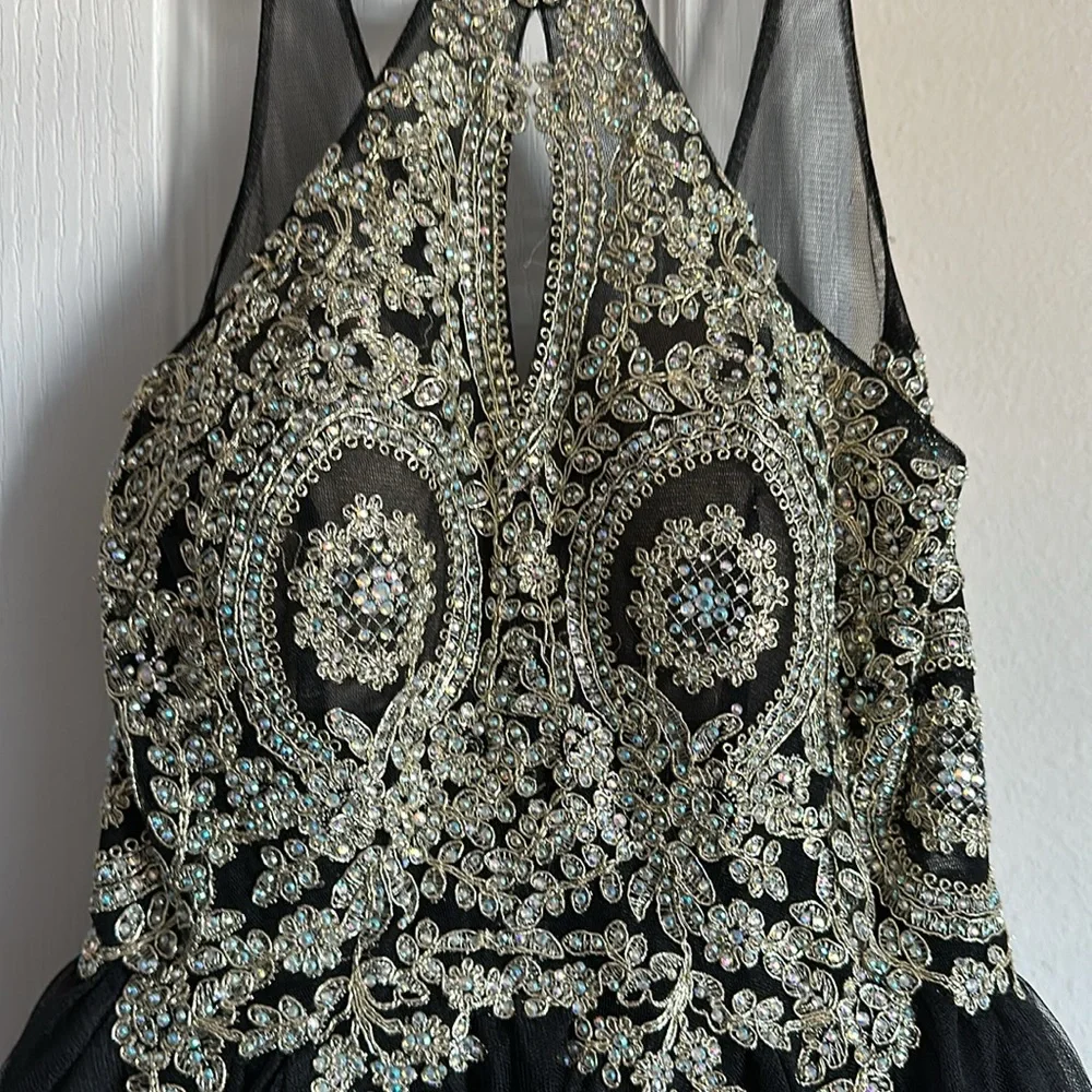 Gorgeous spring dance/prom dress short/ sequined bodice - Picture 7 of 9
